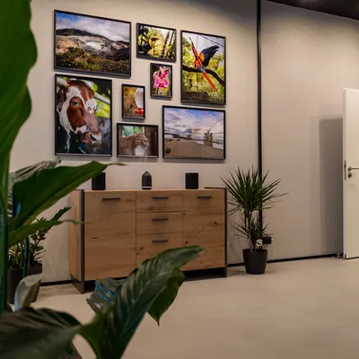 Lounge-Bereich mit Bilderwand bei OhrPunkt