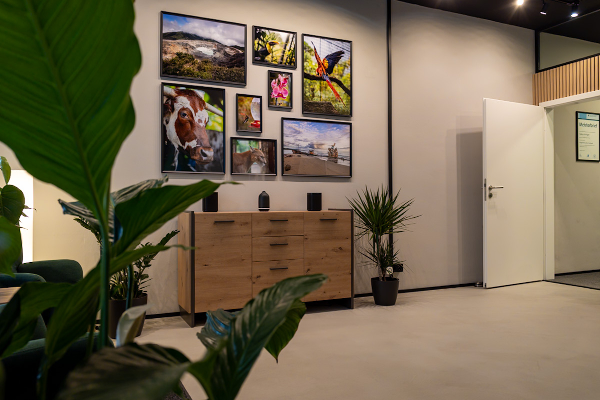 Lounge-Bereich mit Bilderwand bei OhrPunkt