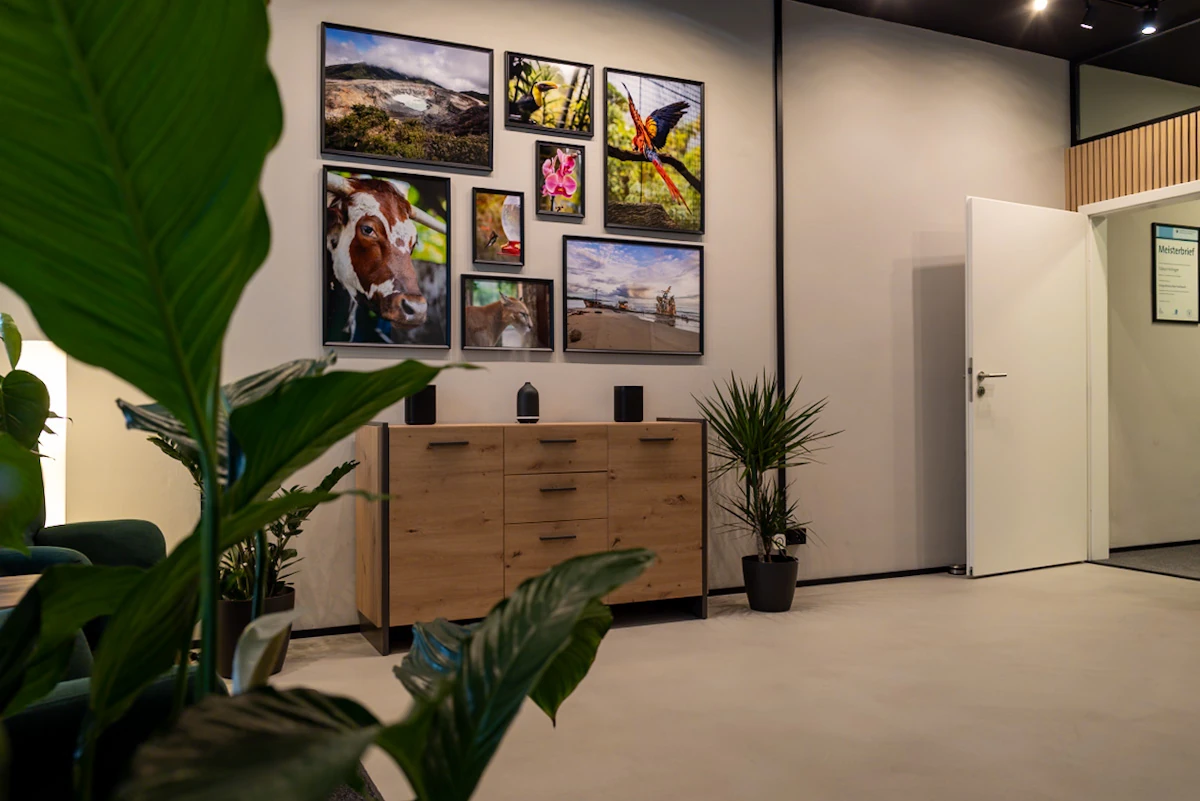 Lounge-Bereich mit Bilderwand bei OhrPunkt