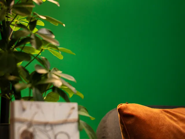 Warmes Licht und Sofa mit Samtkissen bei OhrPunkt